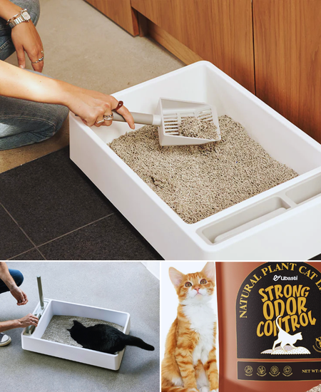 Discover the Perfect Solution For Odor-Free Homes: Tofu Cat Litter